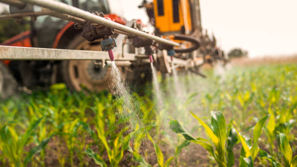 Best Pest Prevention Services  in Perryville, MO